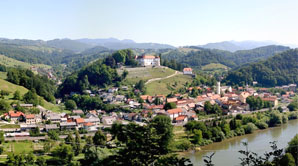 The Castle swans
